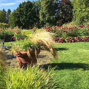 Britzer Garten 01
