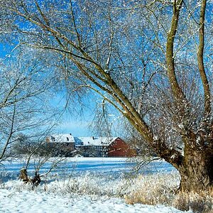 20160122 11048 Bearbeitet