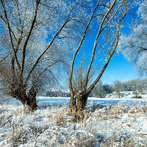 20160122 11045 Bearbeitet