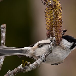 2016 03094