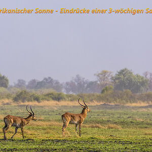001 Titelbild