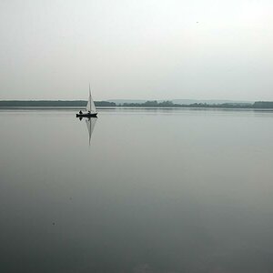 NIKON E990
Zugvogel Dwarsbüngel auf Steinhuder Meer
(YACHT Fotowettbewerb 2008, Platz #25 ;)
Mein erstes Bild hier im Forum