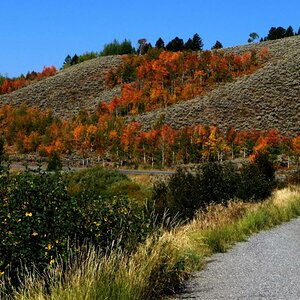 Herbst im Grand Teton Wyoming