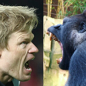 apeman