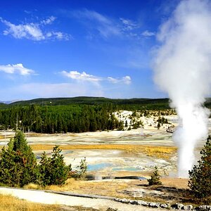 Yellowstone