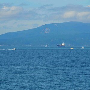 Von der Fähre USA - Vancouver Island