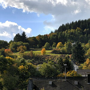 blick