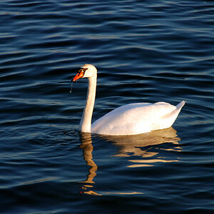08 Schlei (178)bwww