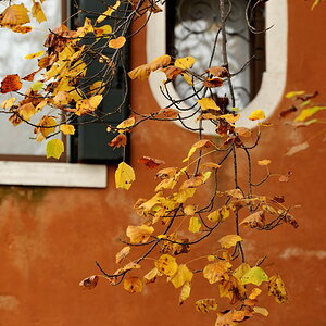 Herbstfarben