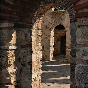 DSC 4245