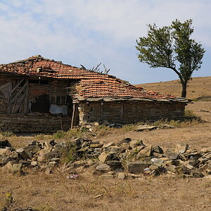 DSC 4305
