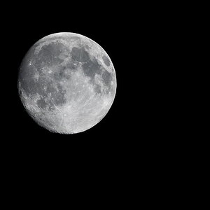 mond13