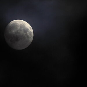 mond2