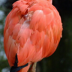 Tierpark Bochum