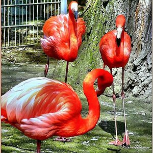 Zoo Duisburg