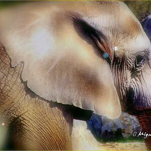 Zoo Duisburg