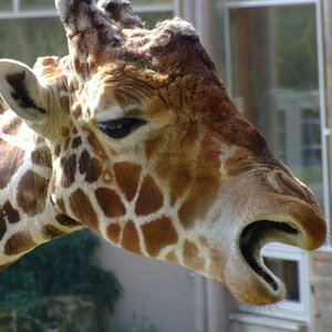 Zoo Duisburg