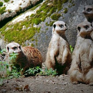 Burgers Zoo Arnhem