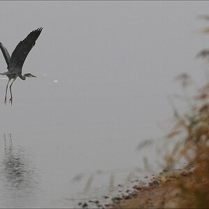 comp Usedom Okt5