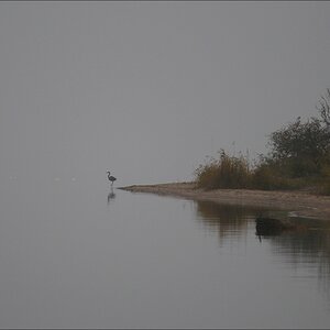 comp Usedom Okt7