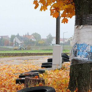 Herbstkontrast