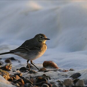 comp Usedom Okt13