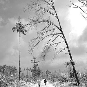 schnee