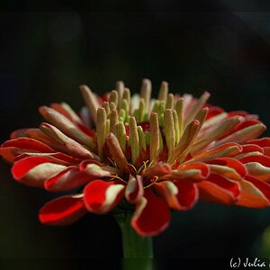 comp DSC 8107