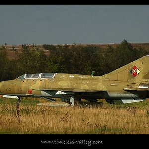 MiG 21 NVA

Nikon D80
(175mm, 1/800s, ISO 100, Blende 5.6)