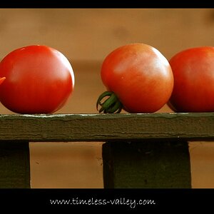Tomaten

Nikon D80
(200mm, 1/80s, ISO 400, Blende 5.6)