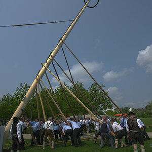 Aufstellen des Maibaumes in Burghausen, 2009
