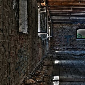 Fenster1