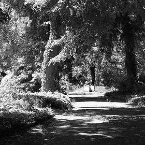 Friedhof Sankt Johann
