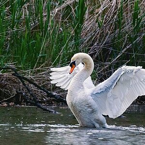 Kocks Loch 0161