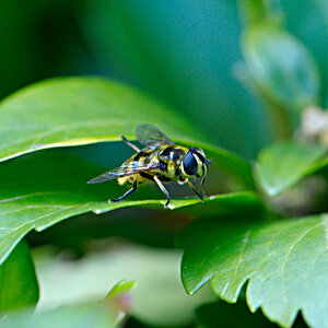 small0231