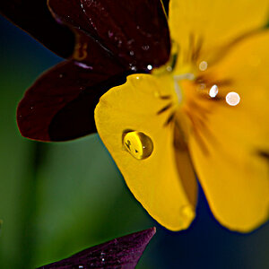 small0236