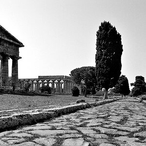 P1030702 web