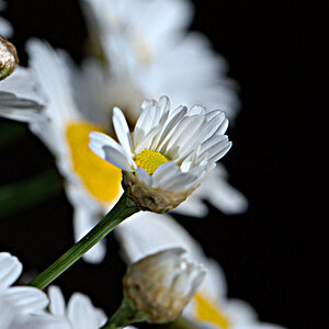 small0235