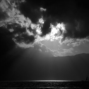 DSC 2612 sw