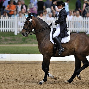 20090524 105757 Pferd Internatio