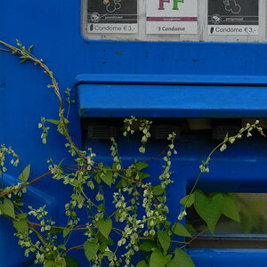 Jungs, was ist los?
