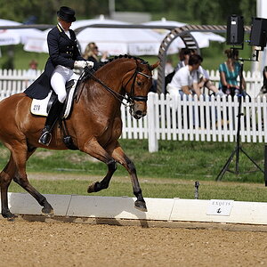 20090524 110347 Pferd Internatio
