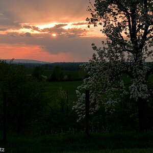 Abendspaziergang

Zeiss Distagon 85 mm f8 1/125s, Grauverlaufsfilter