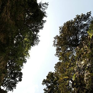 imbros