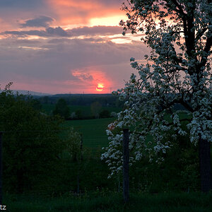 Abendspaziergang

Zeiss Distagon 85 mm f5.6 1/60s, ISO 400, Grauverlaufsfilter