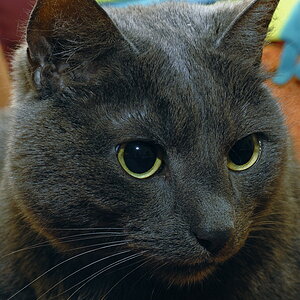 DSC0182c