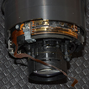 DSC 9334