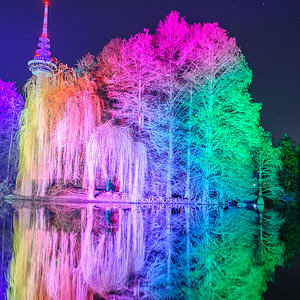 Luisenpark Mannheim Winterlichter 2016