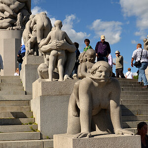 DSC 6542 Oslo