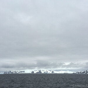 IMG 9408